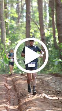 BIB:  <button type="button" onclick="openModal(26569641)" class="btn btn-primary btn-sm float-right" data-toggle="modal" data-target=".modal-high-quality">
                <i class="fa fa-download"></i> Download
                </button>